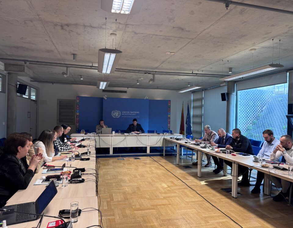 U organizaciji Međunarodne organizacije za migracije (IOM) održan bilateralni sastanak i prezentacija na temu jačanja odgovora na trgovinu ljudima uz upotrebu savremenih tehnologija