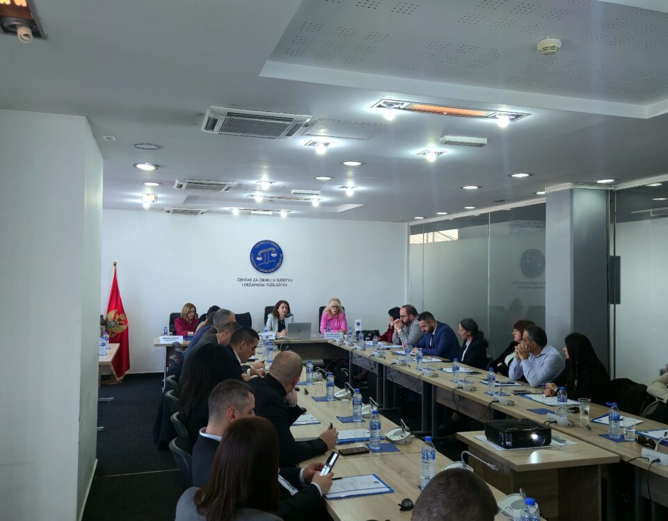 Organizovana obuka na temu „Finansijske istrage”