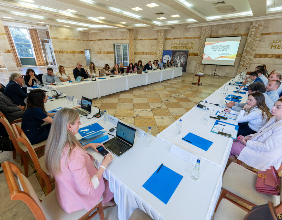 Organizovana obuka na temu: „ Zaštita prava intelektualne svojine u kontekstu vještačke inteligencije i krivična djela protiv intelektualne svojine“